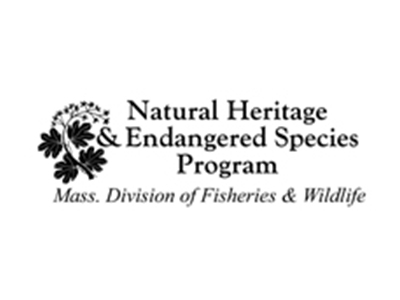 Massachusetts Division of Fisheries & Wildlife Endangered Bat Species Presentation